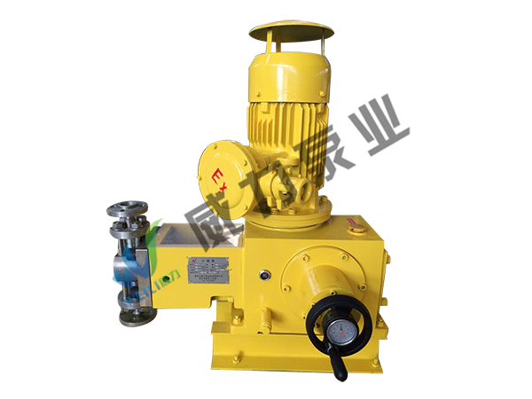 J4柱塞式计量泵